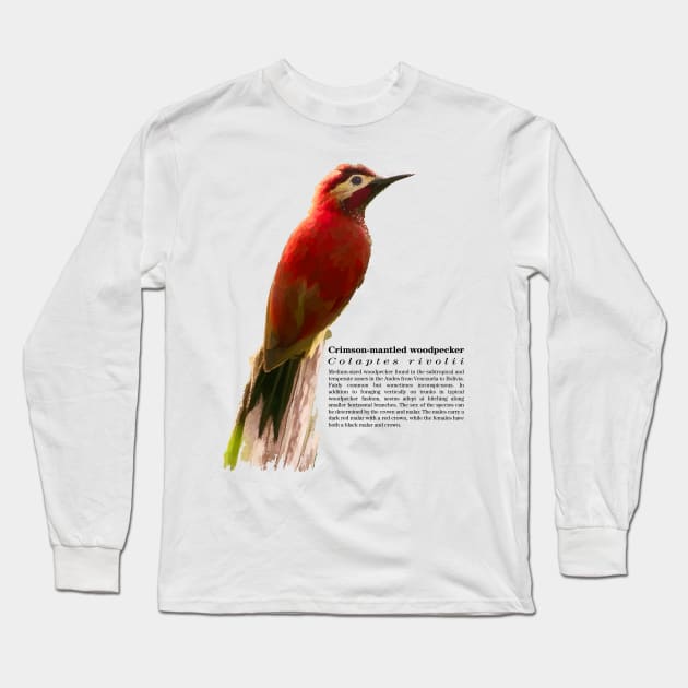 Crimson-mantled woodpecker exotic bird Long Sleeve T-Shirt by Ornamentum